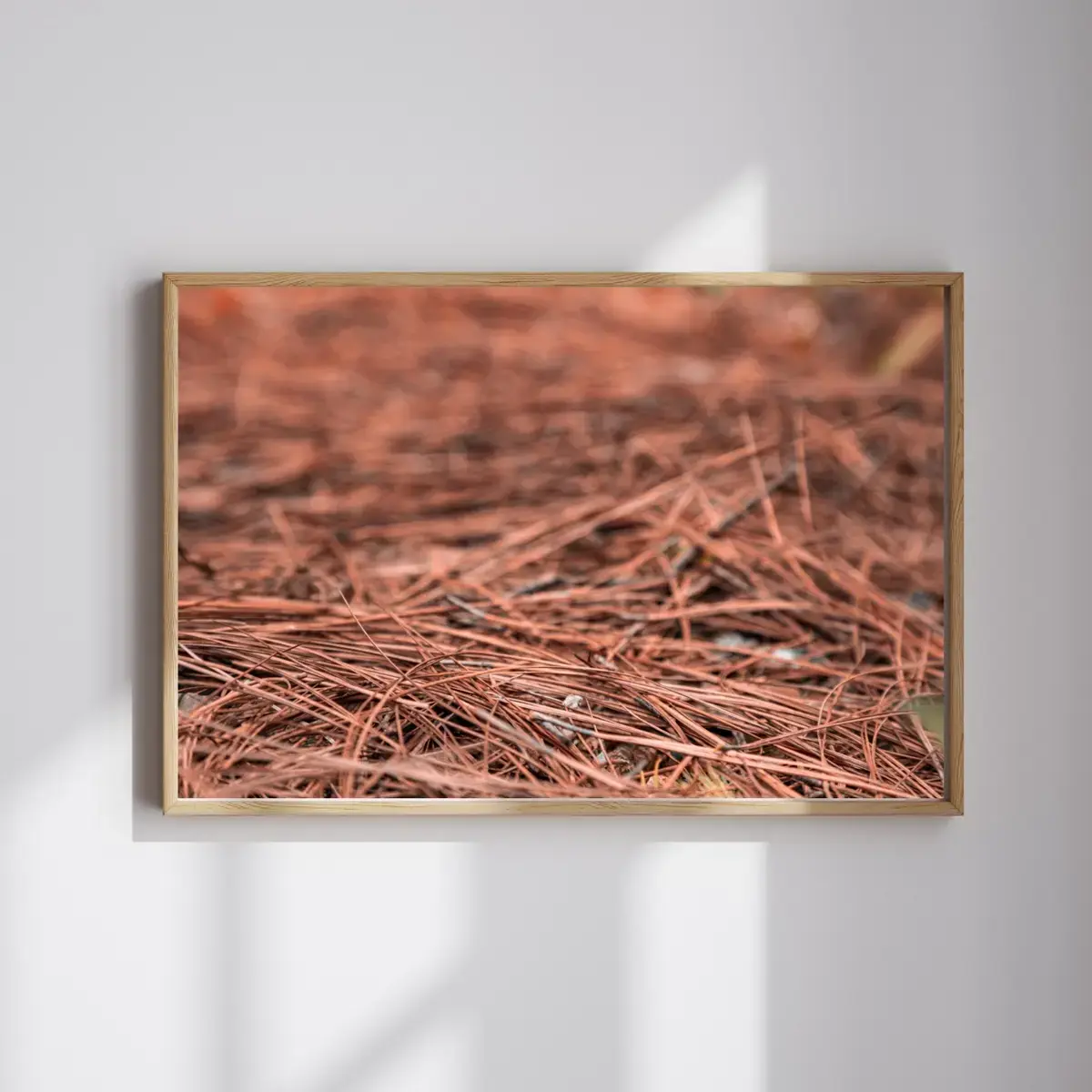 Autumn Floor — view 4