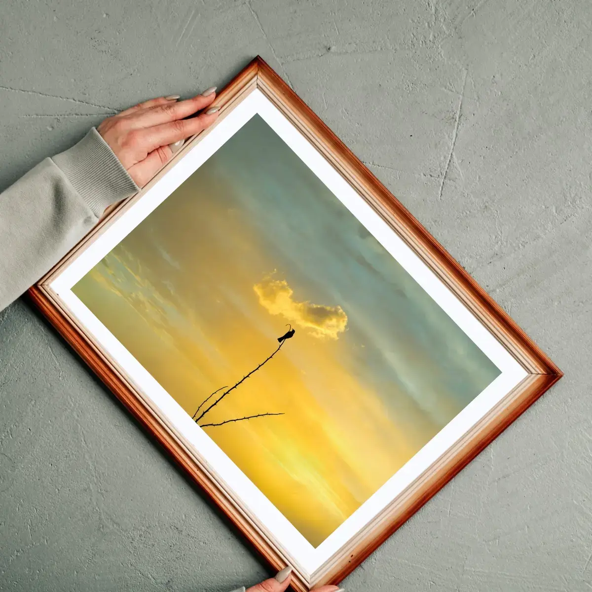 Last Light Perch — view 2