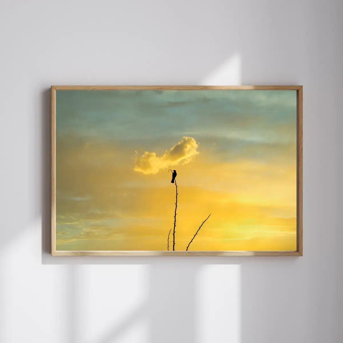 Last Light Perch — view 4