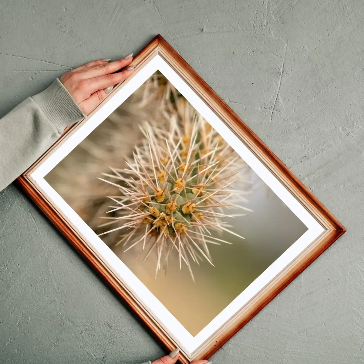 Desert Crown — view 2