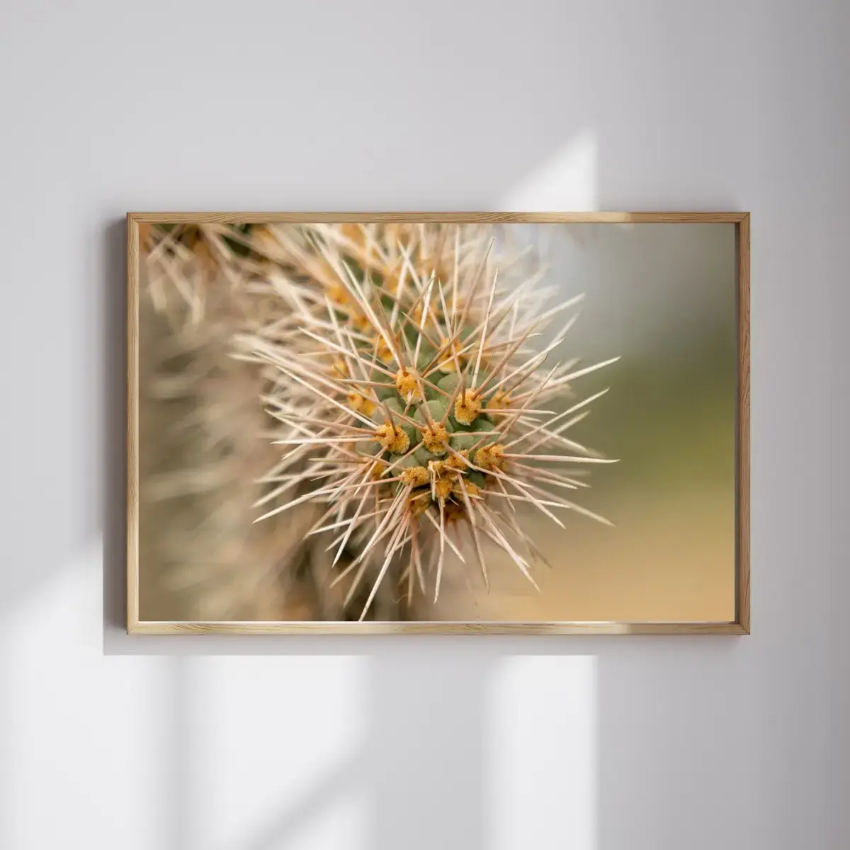 Desert Crown — view 4