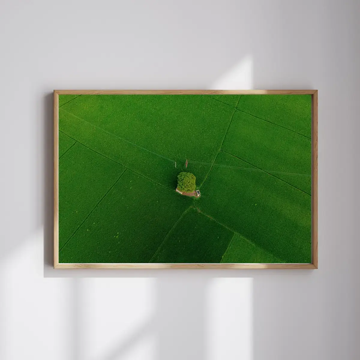 Emerald Fields — view 4