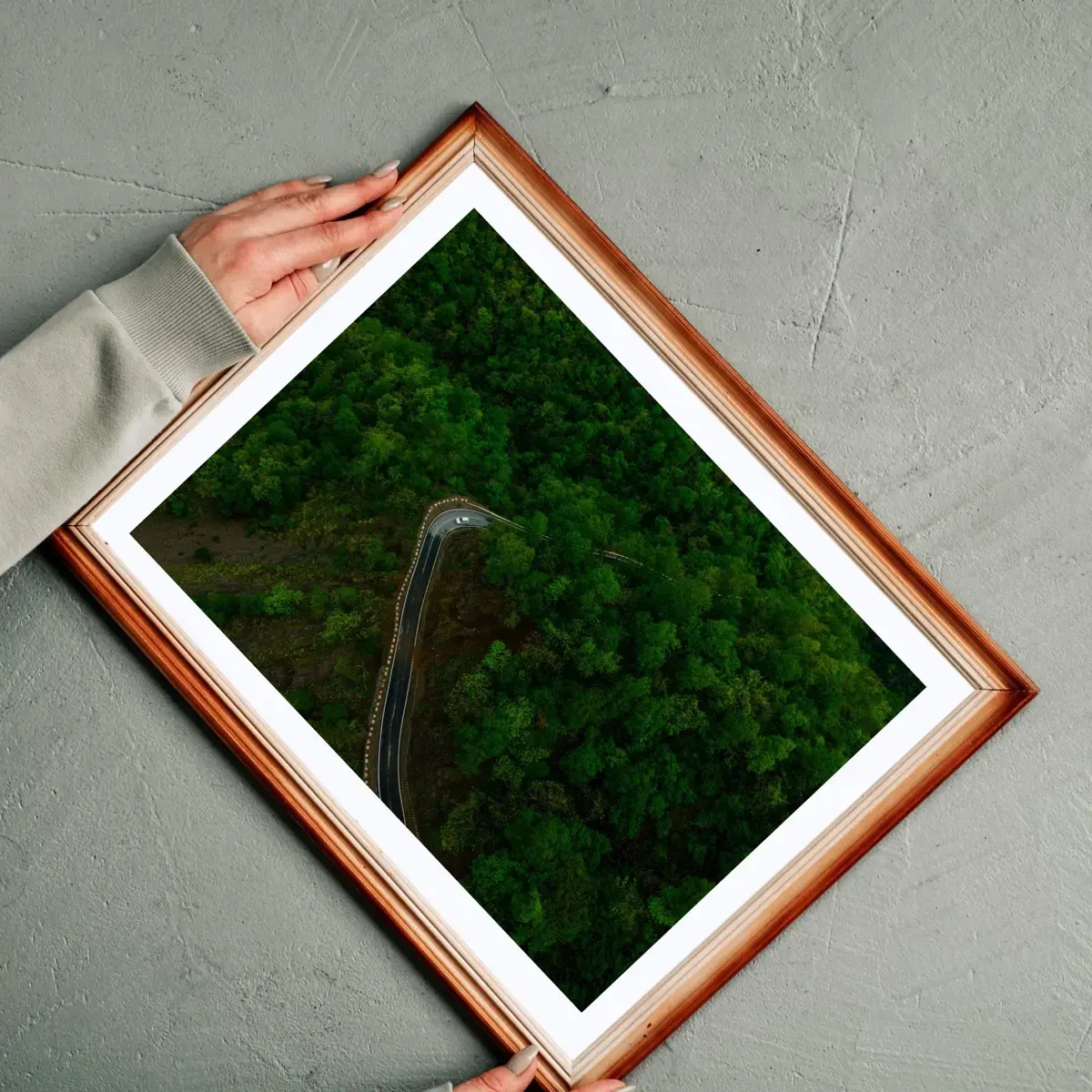 Forest Serpentine — view 2