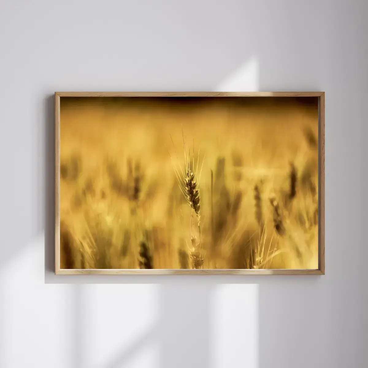 Golden Harvest — view 4