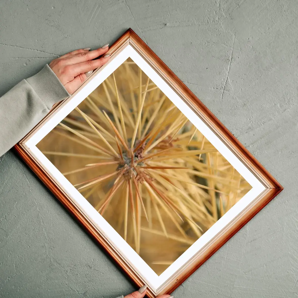 Golden Spines — view 2