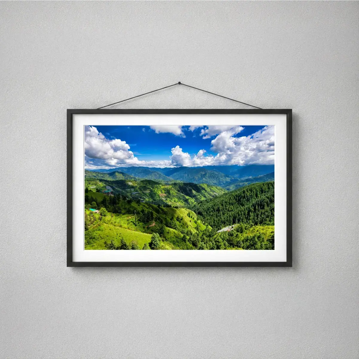 Endless Green Valley