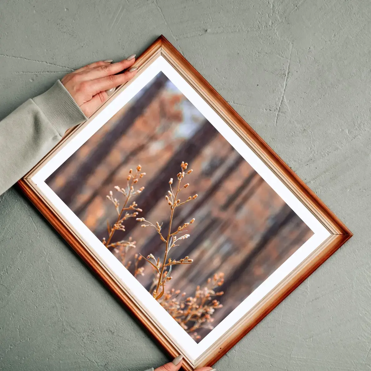 Last Bloom — view 2