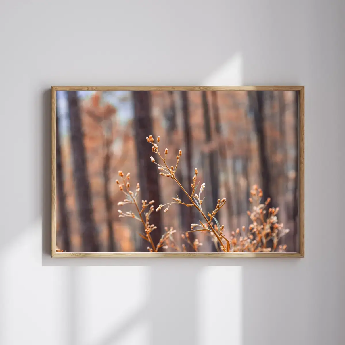 Last Bloom — view 4