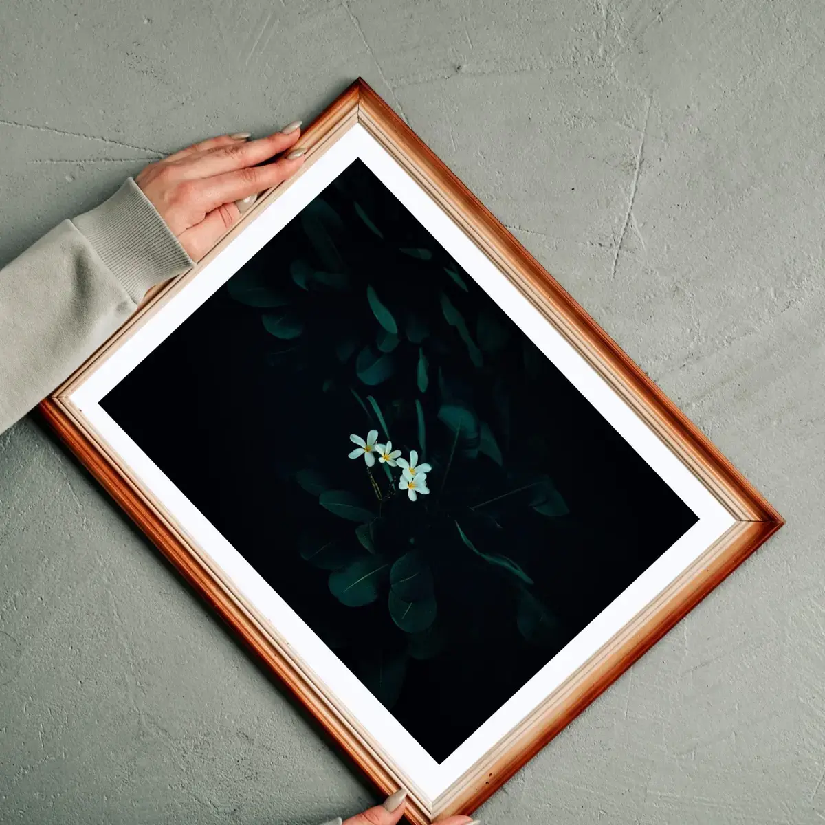 Midnight Bloom — view 2