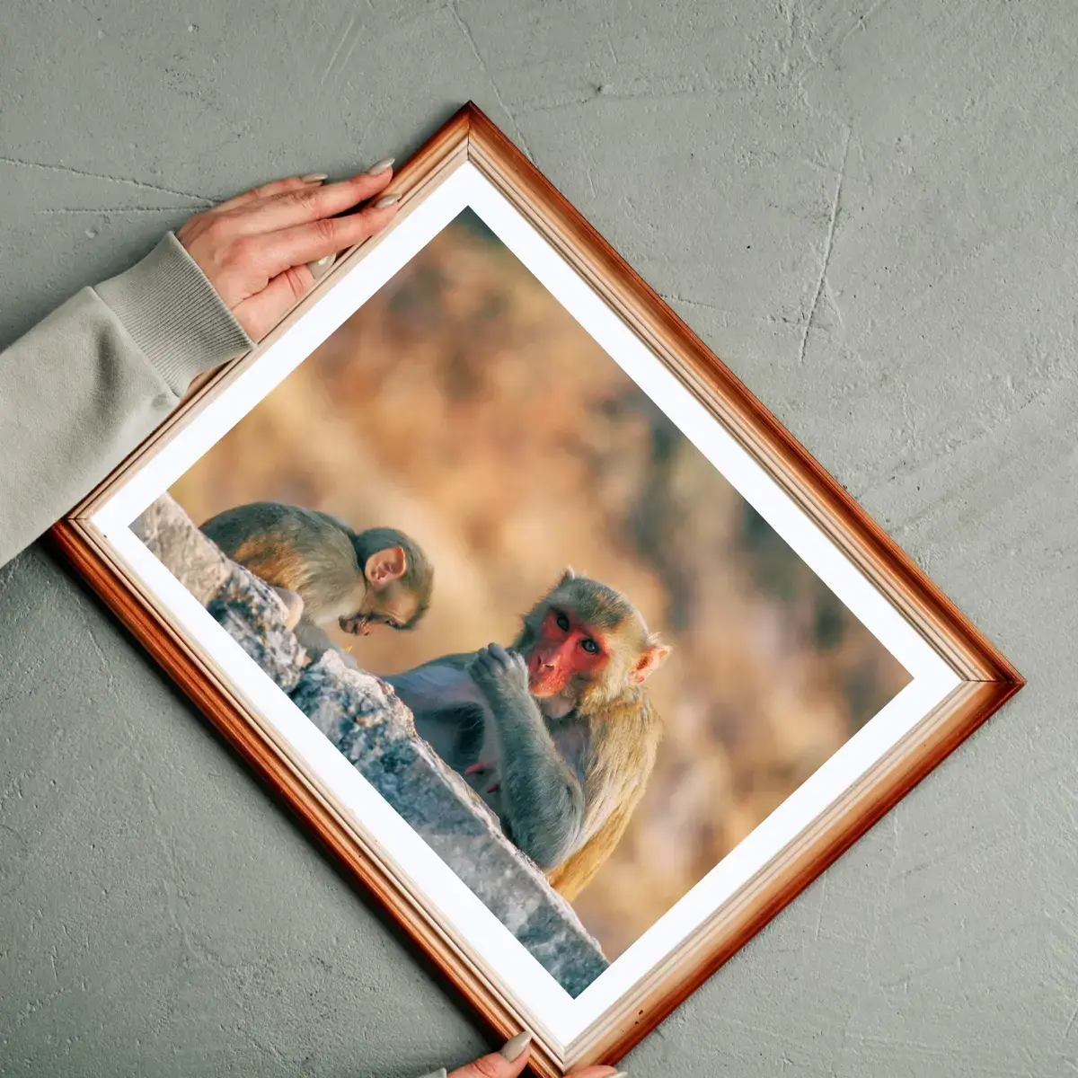 Tender Watch — view 2