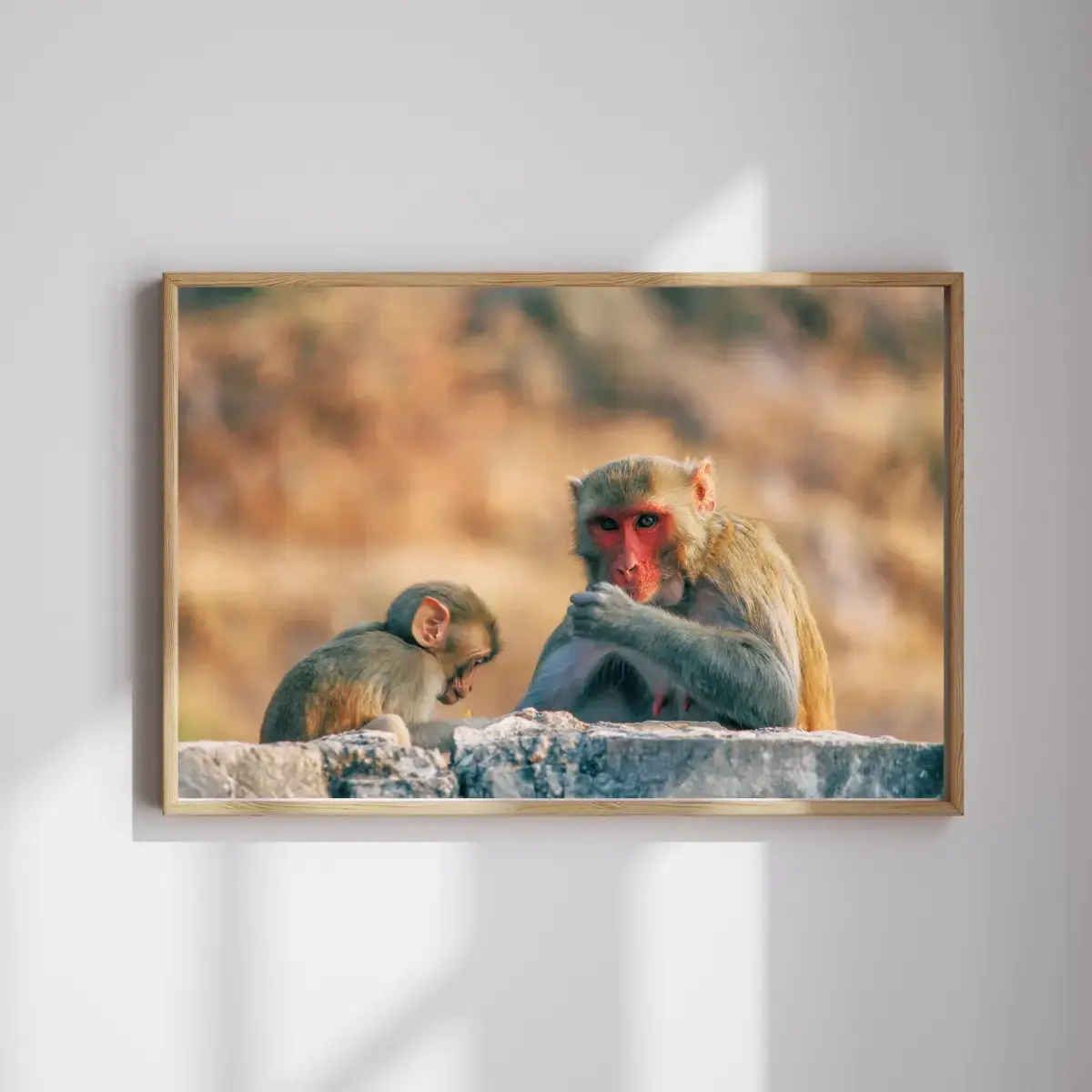 Tender Watch — view 4