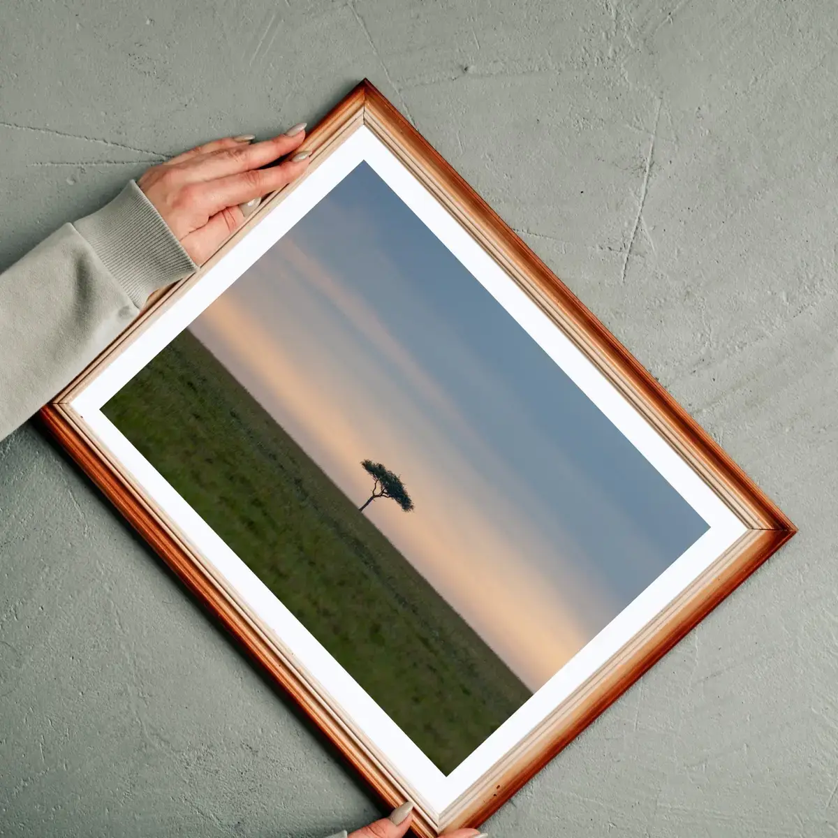 Solitary Acacia — view 2