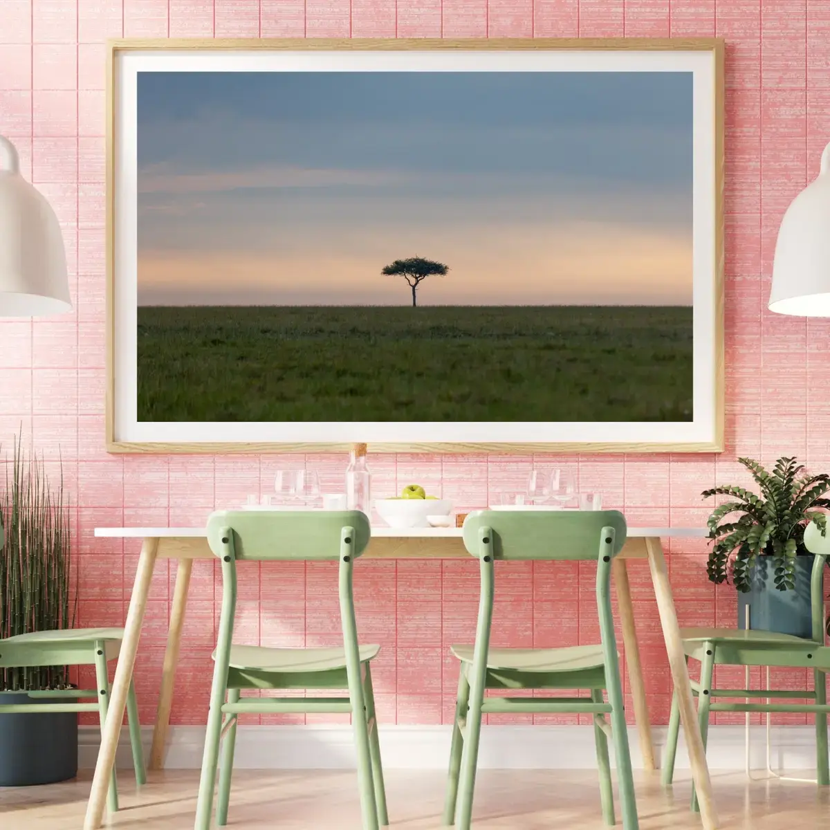 Solitary Acacia — view 5