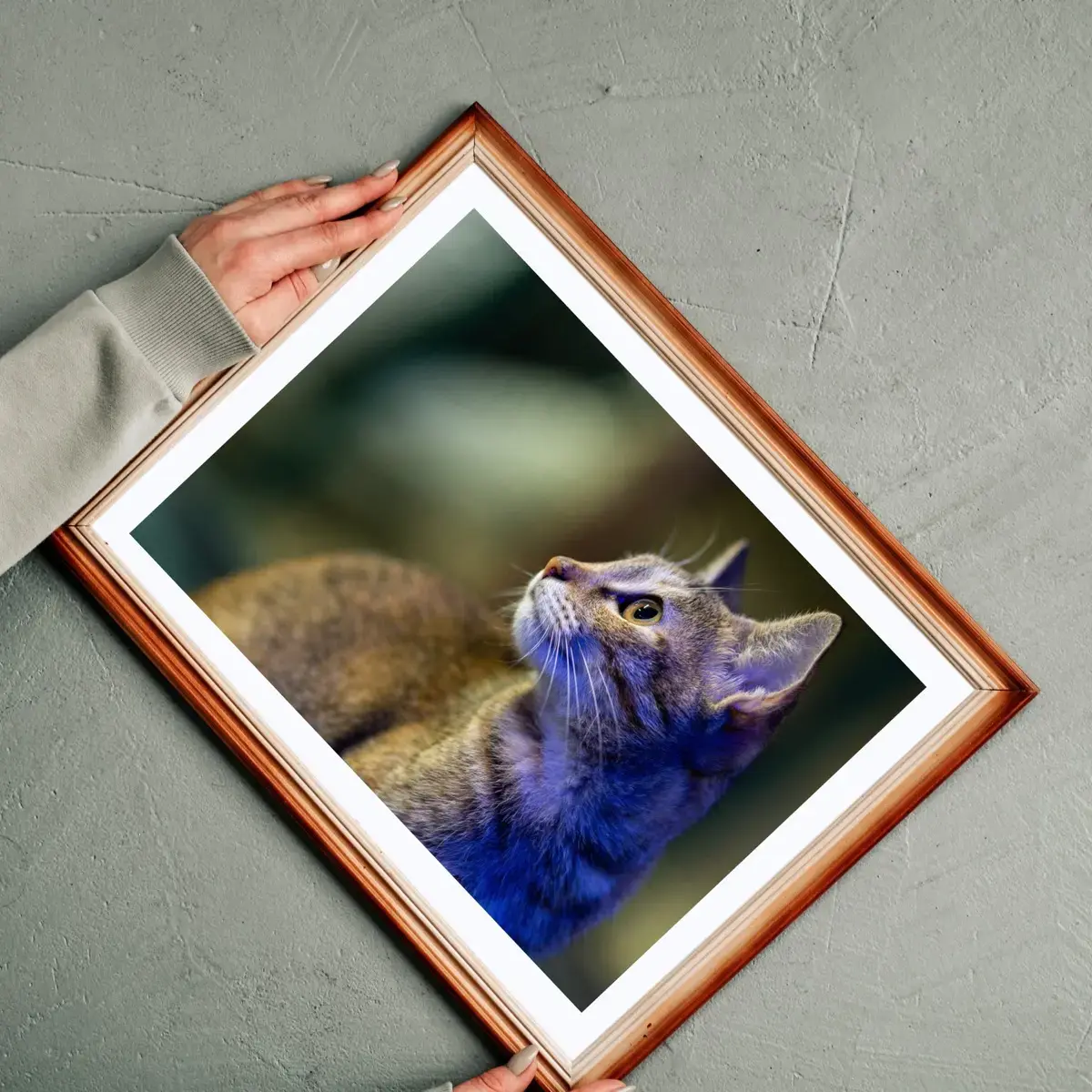 The Watcher — view 2