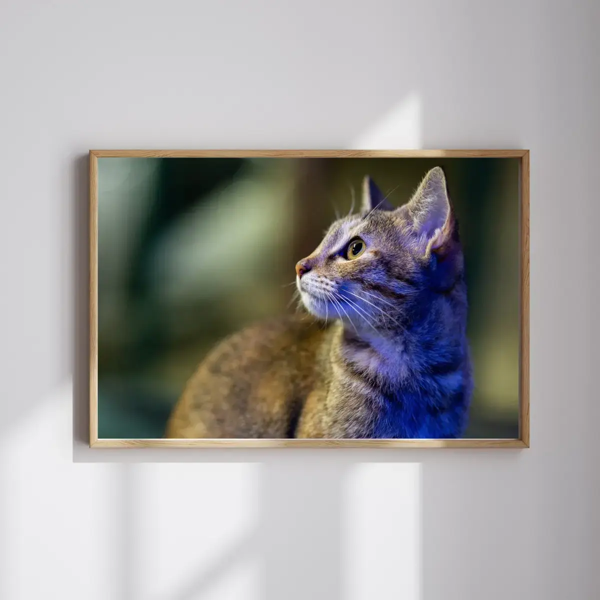 The Watcher — view 4