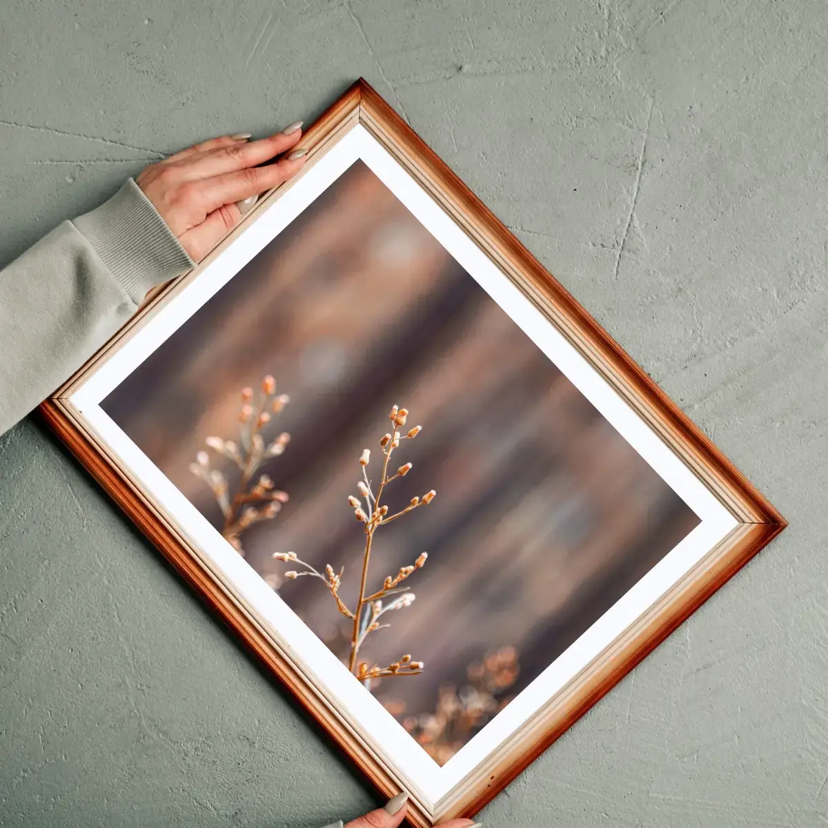 Winter Branch — view 2