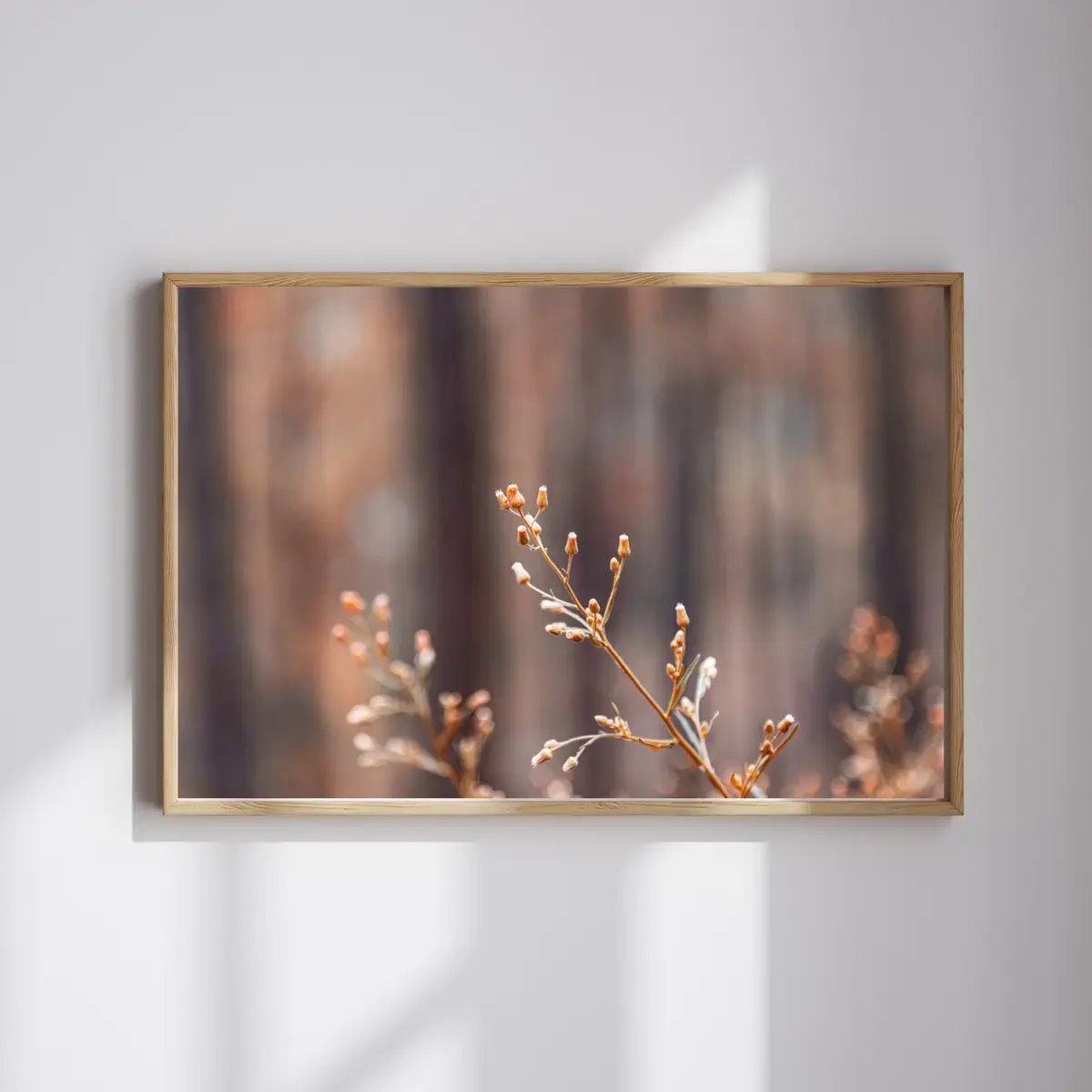 Winter Branch — view 4